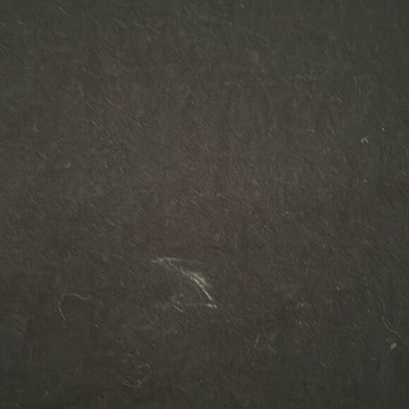 Social Distortion Skeleton Black Summer Tour 2015 Graphic Shirt Band Music Rock - Picture 7 of 8